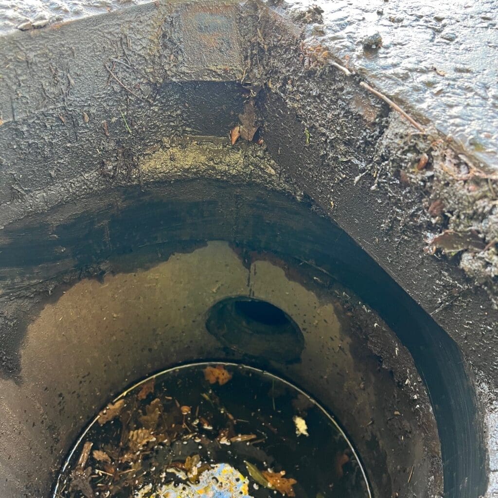 Torrent Water Management